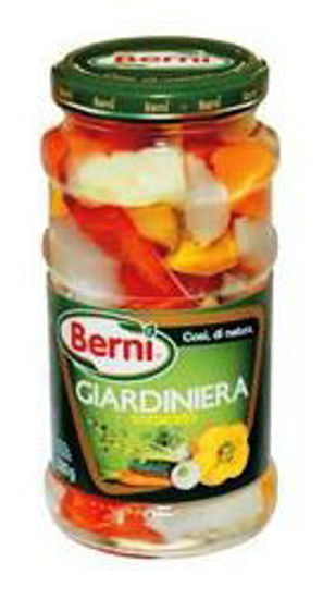 Immagine di BERNI GIARDINIERA GR.300