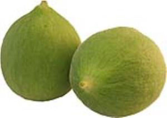 Immagine di BARATTIERI COCOMERI