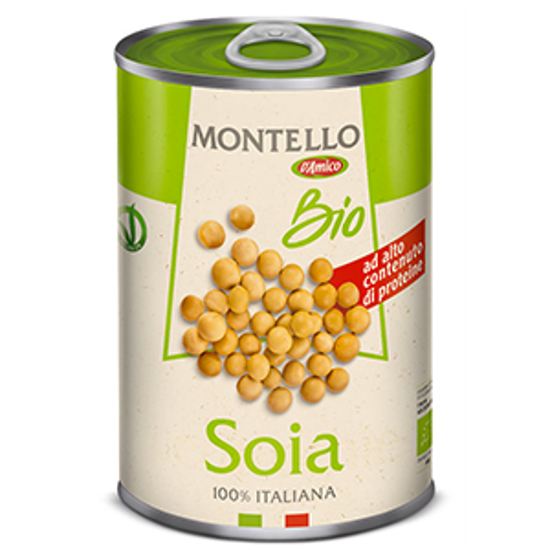 Immagine di D'AMICO SOIA BIO GR.400