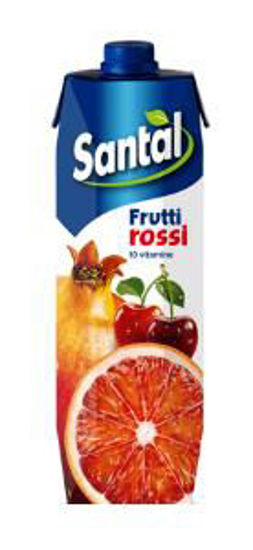 Immagine di SANTAL SUCCO FRUTTI ROSSI 10 VITAMINE LT.1