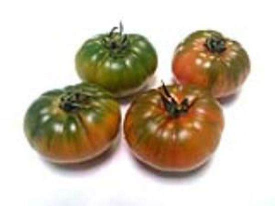 Immagine di POMODORO COSTOLUTO