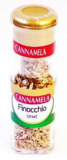 Immagine di CANNAMELA FINOCCHIO SEMI GR.25