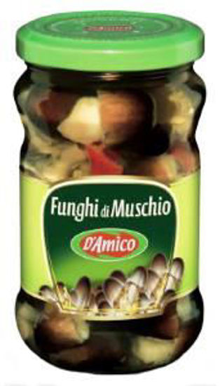 Immagine di D'AMICO FUNGHI DI MUSCHIO GR.290