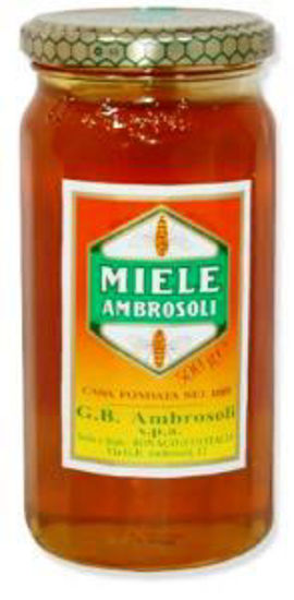 Immagine di AMBROSOLI MIELE MILLEFIORI GR.500