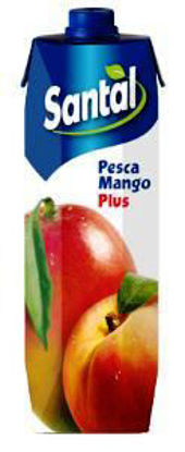 Immagine di SANTAL SUCCO PESCA/MANGO LT.1