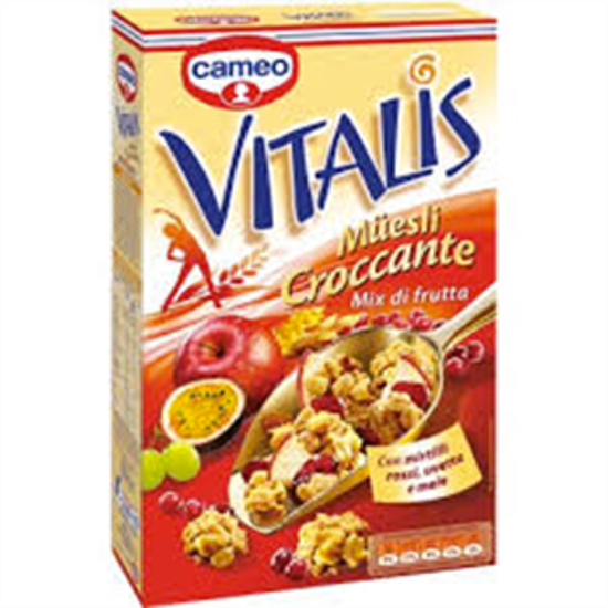 Immagine di CAMEO VITALIS MUESLI G.300 MIX DI FRUTTA