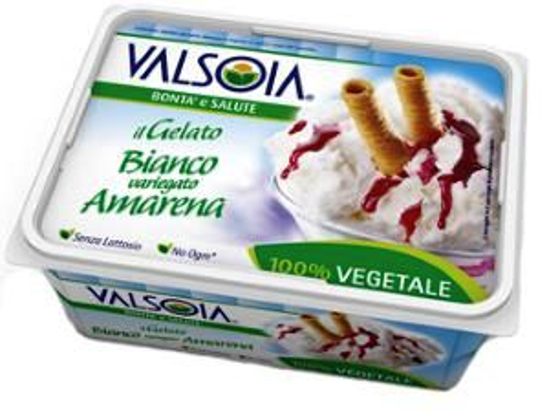 Immagine di VALSOIA GELATO AMARENA GR.500