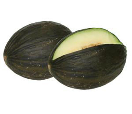 Immagine di MELONE VERDE RETINATO
