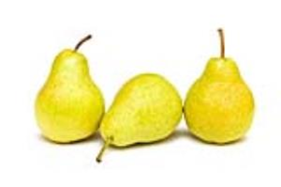 Immagine di PERE WILLIAM