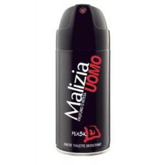 Immagine di MALIZIA DEODORANTE UOMO SPRAY MUSK ML.100