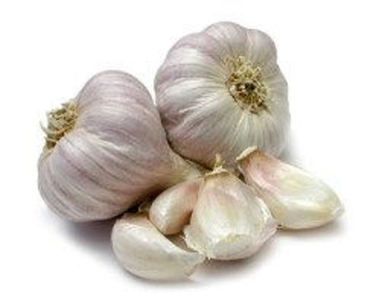 Immagine di AGLIO SFUSO