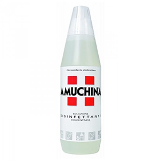Immagine di AMUCHINA DISINF.100%LT.1