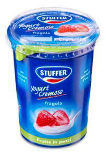 Immagine di STUFFER YOGURT CON FRAGOLE A PEZZI GR.500