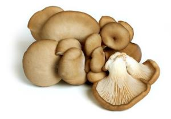 Immagine di FUNGHI PLEUROTUS SFUSI