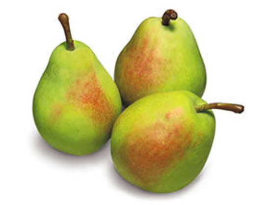 Immagine di PERE SANTA MARIA