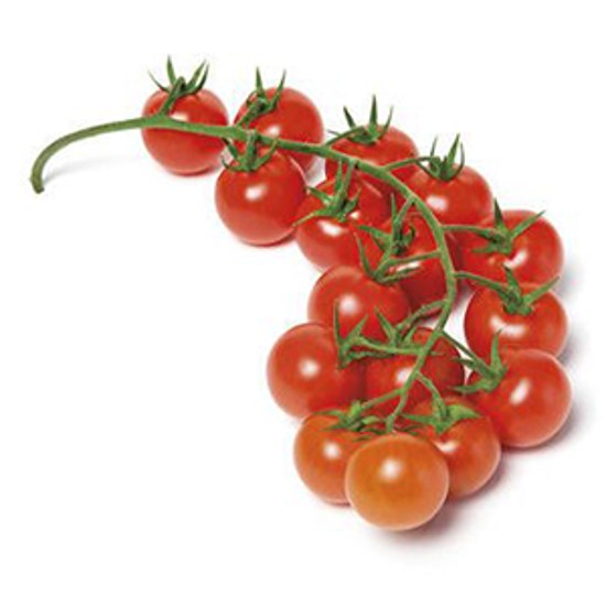 Immagine di POMODORO CILIEGINO