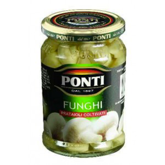 Immagine di PONTI FUNGHI PRATAIOLI G.300