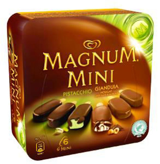Immagine di ALGIDA MAGNUM MINI GIANDUIA/PISTACCHIO X 6