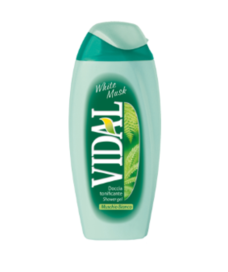 Immagine di VIDAL DOCCIA SCHIUMA  ML.200