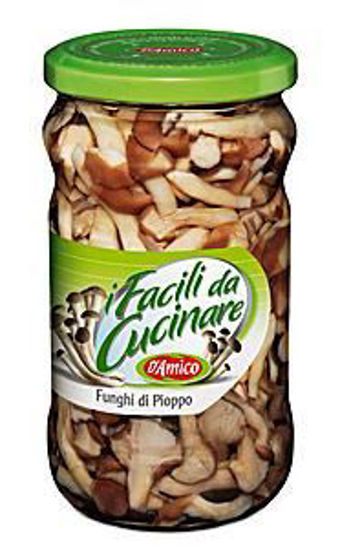 Immagine di D'AMICO FUNGHI DI PIOPPO AL NATURALE GR.540