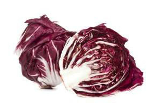 Immagine di RADICCHIO