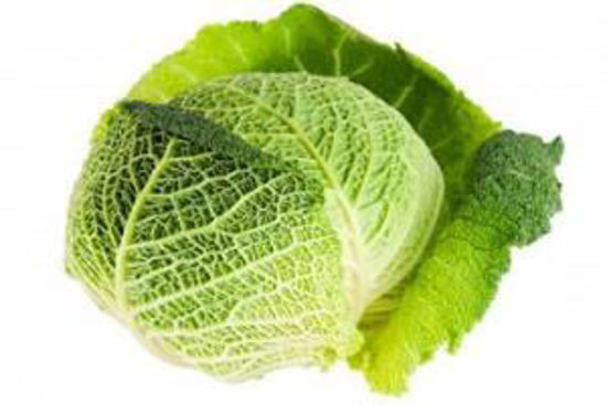 Immagine di VERZA RICCIA