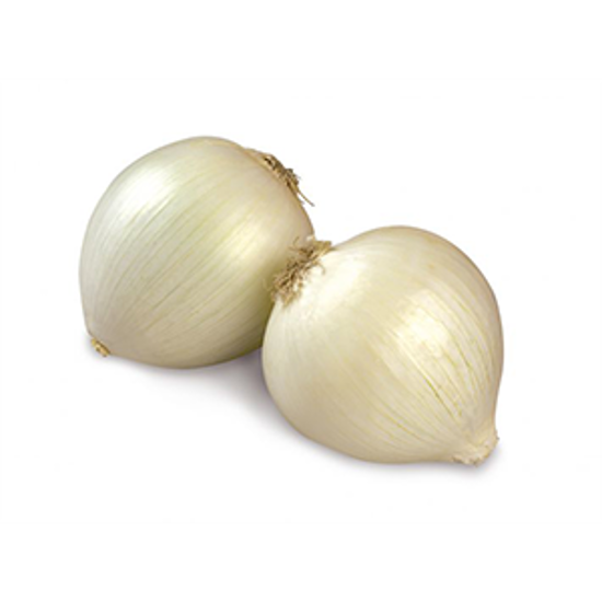 Immagine di CIPOLLA BIANCA RETE 500G