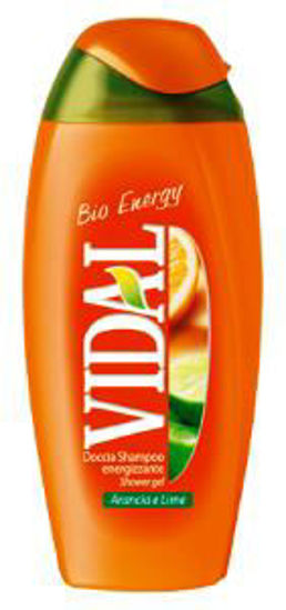 Immagine di VIDAL DOCCIASCHIUMA BIO ENERGY ENERGIZZANTE ML.250