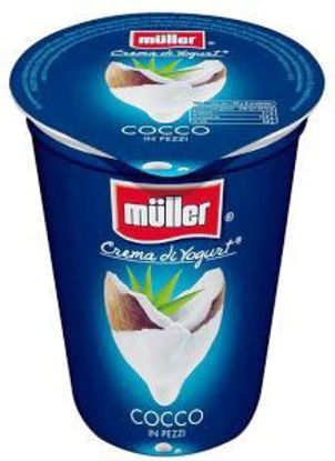 Immagine di MULLER YOGURT COCCO GR.500