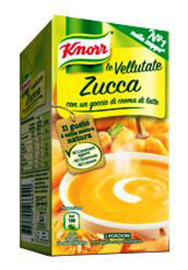 Immagine di KNORR VELLUTATA DI ZUCCA BRICK ML.500