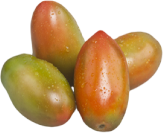 Immagine di POMODORO OBLUNGO VERDE