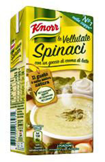 Immagine di KNORR VELLUTATA DI SPINACI BRICK ML.500