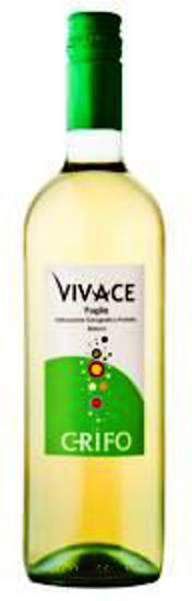 Immagine di GRIFO VIVACE BIANCO LT.1,5