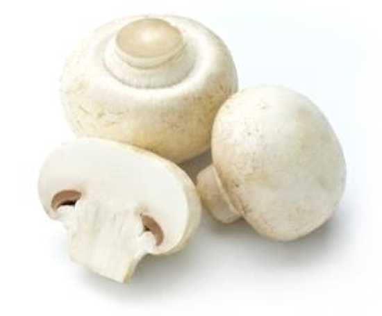 Immagine di FUNGHI CHAMPIGNON SFUSI