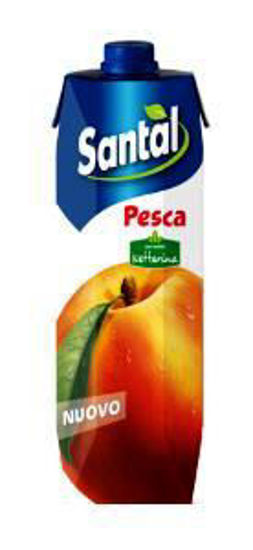 Immagine di SANTAL SUCCO PESCA LT.1