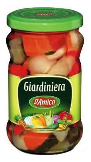 Immagine di D'AMICO GIARDINIERA GR.300