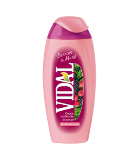 Immagine di VIDAL BAGNOSCHIUMA MORE & MUSCHIO ML.500