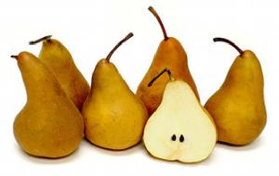 Immagine di PERE KAISER