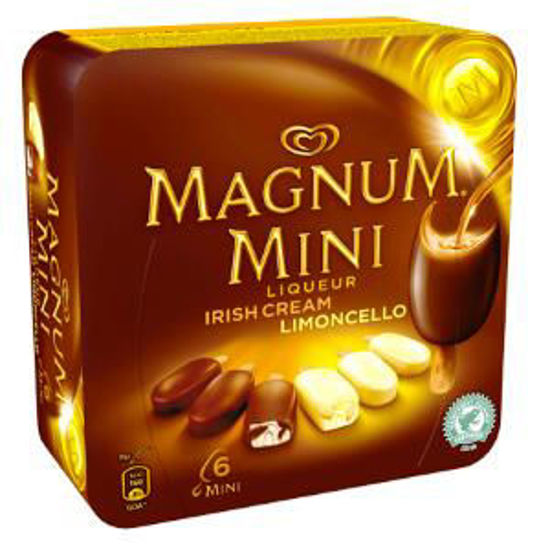 Immagine di ALGIDA MAGNUM MINI LIQUEUR IRISH CREAM/LIMONCELLO X 6
