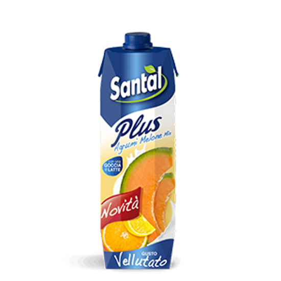 Immagine di SANTAL PLUS AGRUMI & MELONE LT.1