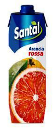 Immagine di SANTAL SUCCO ARANCIA ROSSA LT.1