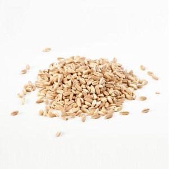 Immagine di FARRO PERLATO
