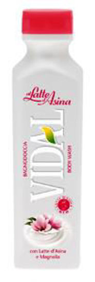 Immagine di VIDAL BAGNOSCHIUMA LATTE D'ASINA E MAGNOLIA ML.400