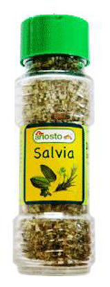 Immagine di ARIOSTO SALVIA GR.14