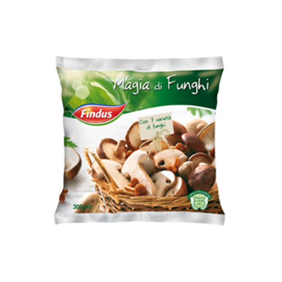 Immagine di FINDUS MAGIA DI FUNGHI GR.300