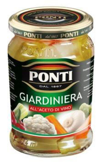 Immagine di PONTI GIARDINIERA GR.700