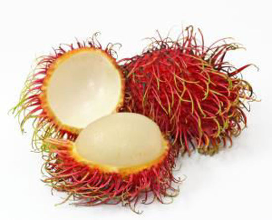 Immagine di RAMBUTAN