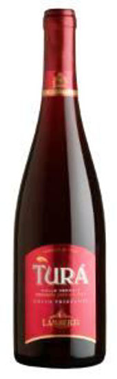 Immagine di TURA' VINO ROSSO FRIZZANTE CL.75