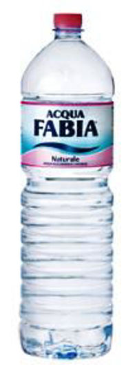 Immagine di ACQUA FABIA LT.2