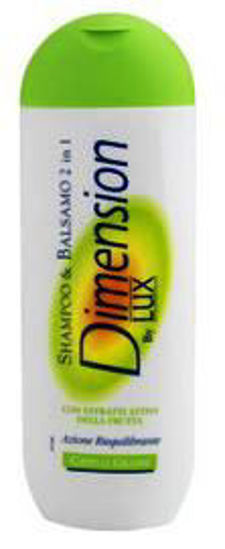 Immagine di DIMENSION SHAMPOO 2 IN 1 GRASSI ML.250